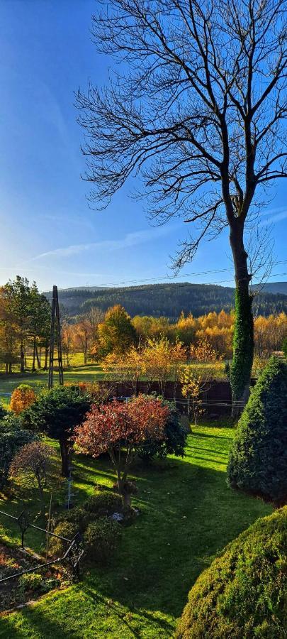 Dom Na Przedgorzu Apartment Swieradow-Zdroj Bagian luar foto