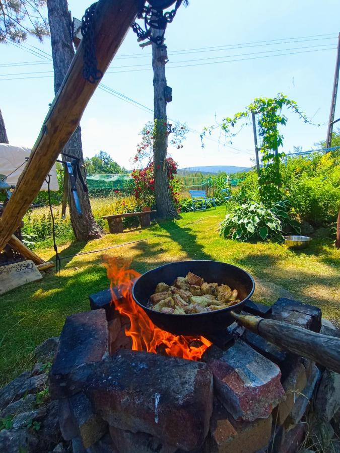 Dom Na Przedgorzu Apartment Swieradow-Zdroj Bagian luar foto